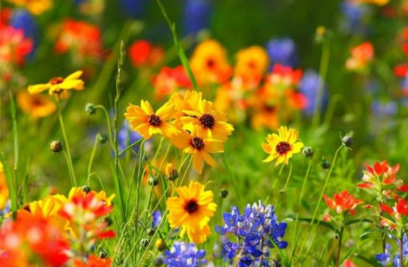 Սպասվում է առանց տեղումների եղանակ, հնարավոր է քամու ուժգնացում